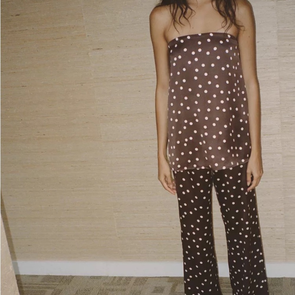 Zara Brown and White Polka Dot Outfit